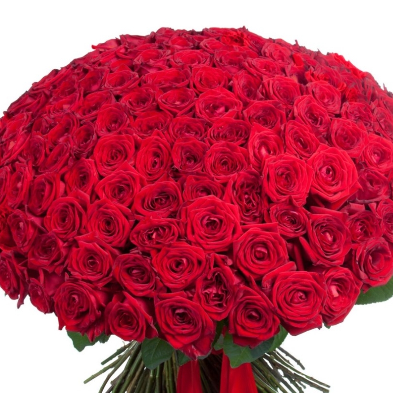 Букет из 201 красной розы