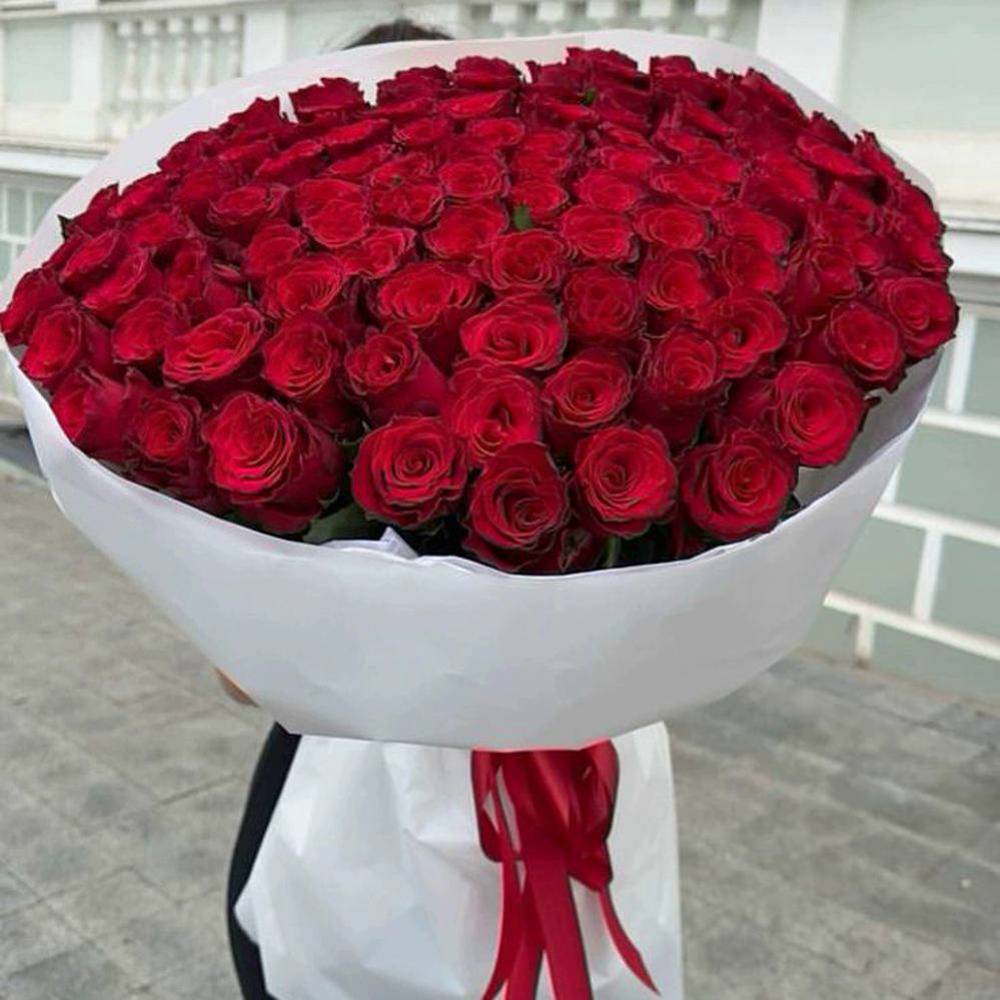 101 красная роза Premium 50 см